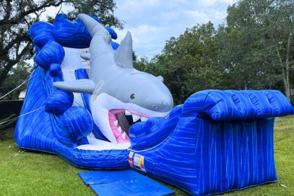 Inflatable Shark Slide | Gone Fishing