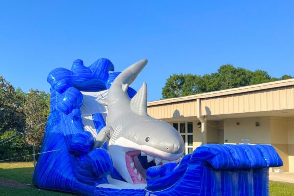 Inflatable Shark Slide Set Up | Gone Fishing